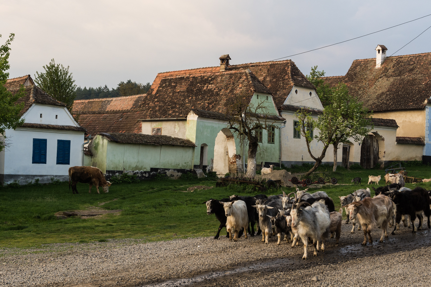 Transylvanian village tour